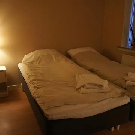 ホテル Radhuskroen 3*